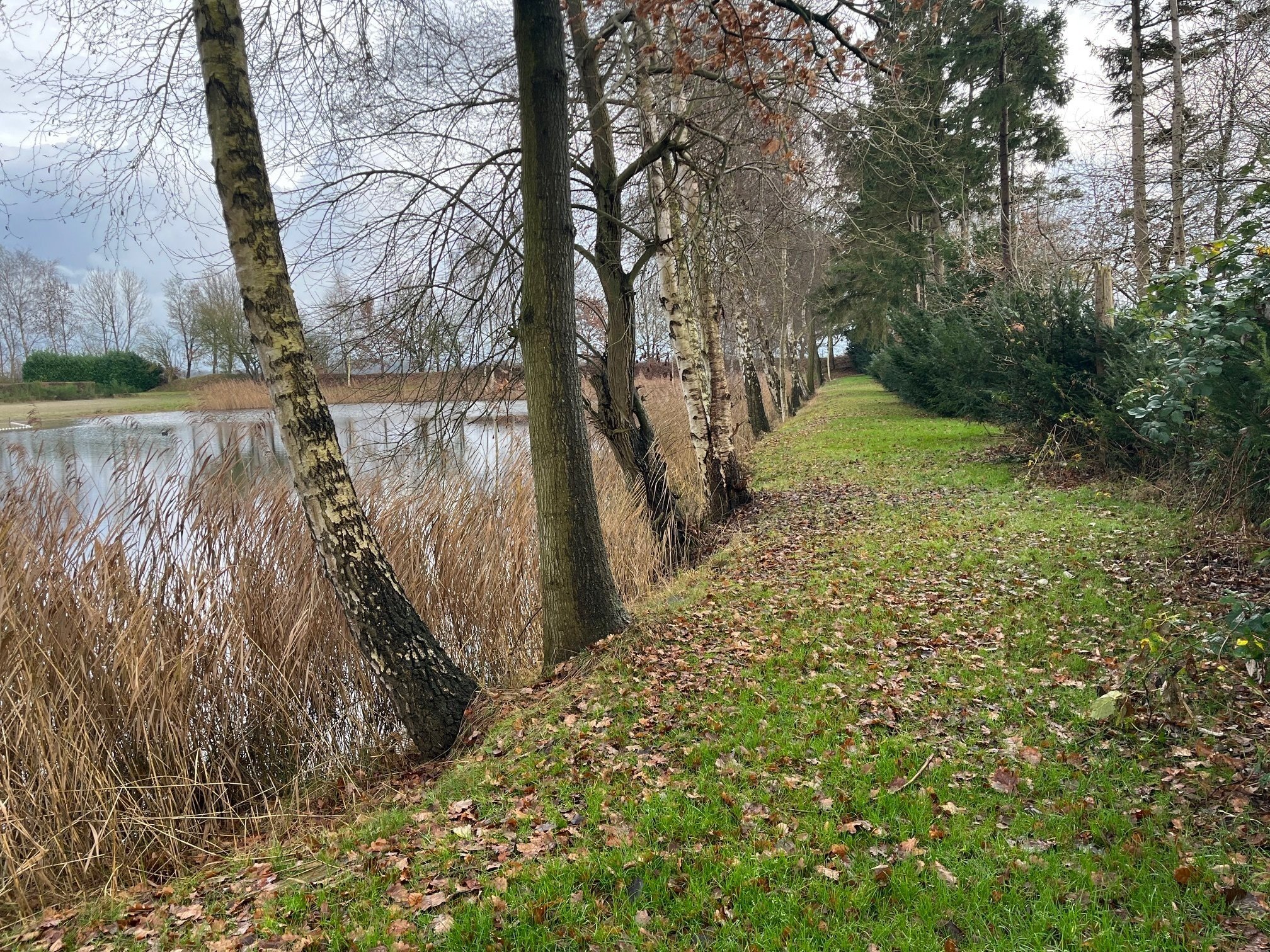 Wandelpad om zwemplas
